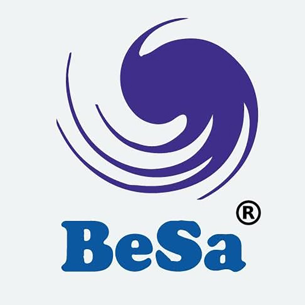 BeSa Consulting